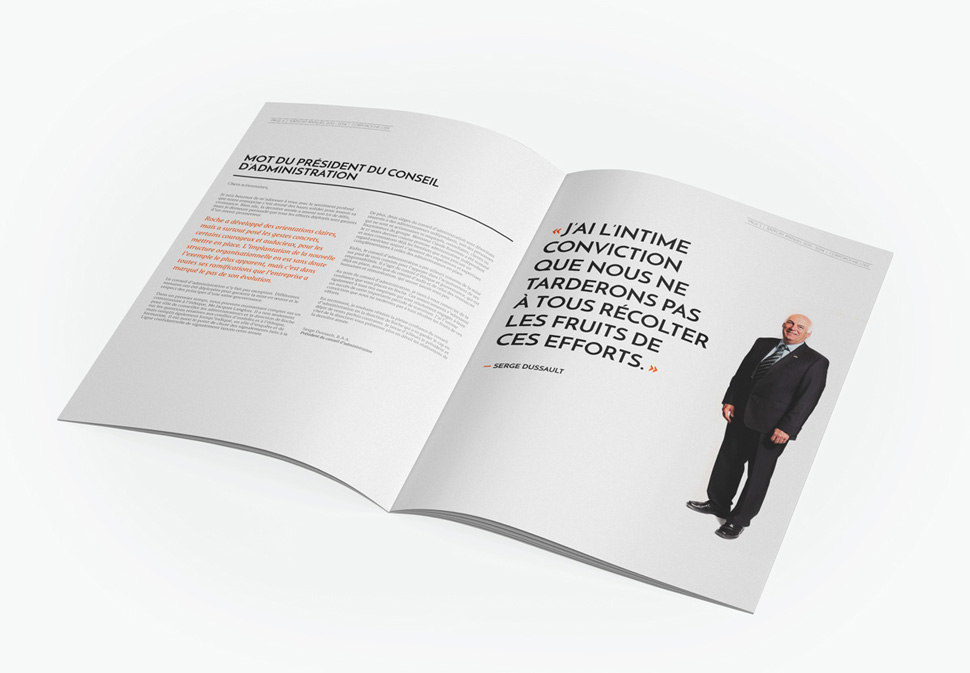 Roche's Annual Reports