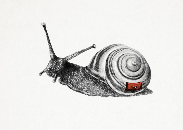 A snail with a little red drawer on its side.